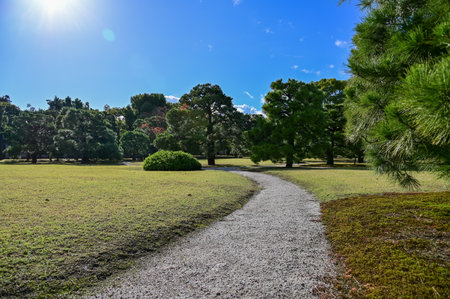 The Japanese gardern view of nijo jo castle, Kyoto, Japan. World Heritage Site, Japanese traditional architecture in Kyoto, Japan. Background landscape of the beauty of Nijo Castleの写真素材