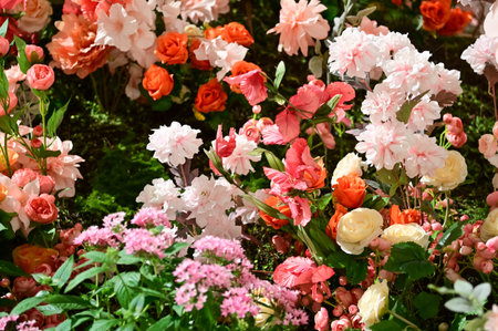 Colorful flowers in the garden. Nature scene. Colorful bright flowers background. Flower and plant.