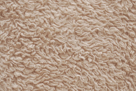 Close up of sheep wool texture for background. Beige color.の写真素材