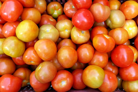 The fresh tomatoes at the local supermarketの写真素材