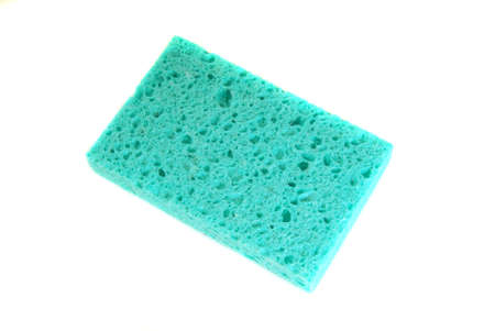 Isolation of a new blue household sponge