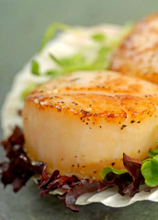 Delicious pan seared sea scallop with lettuce and pea shoots served on a scallop shell