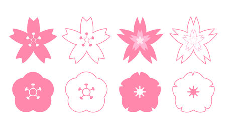 Set of cherry blossom japanese flower. Vector illustration isolated on white backgroundのイラスト素材