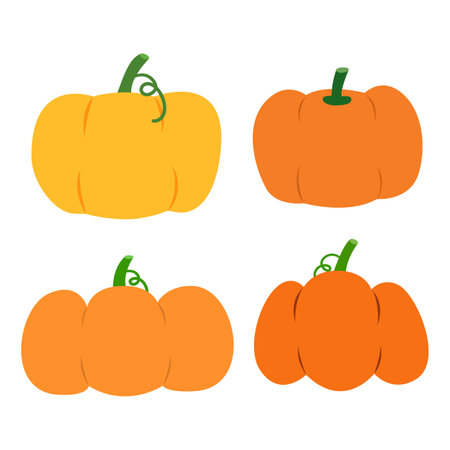 Various pumpkin graphic for halloween, autumn, festival and illustration. flat designのイラスト素材