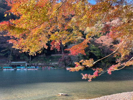 Arashiyama autumn season in Kyoto Japan. Foliageの写真素材