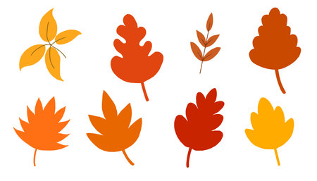 Autumn leaves hand drawn for season, holiday, element and illustration. Flat designのイラスト素材