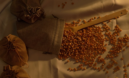 sacks of cereal next to spilled cornの写真素材