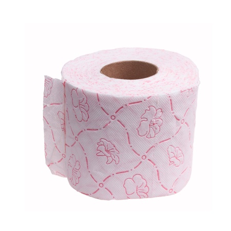 Toilet roll on white backgroundの写真素材