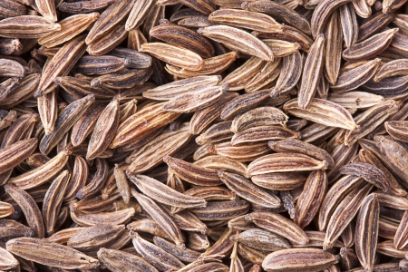 Seed of cumin spice. Close upの写真素材