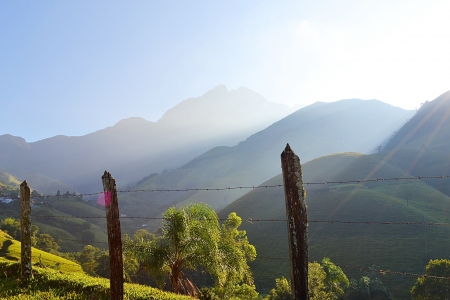 Mountains in a sunny dayの素材