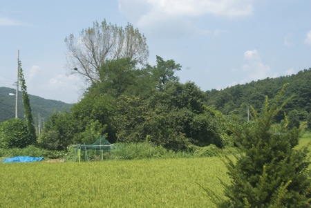 landscapeの写真素材