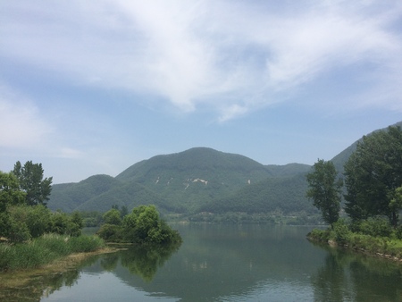 natureの写真素材