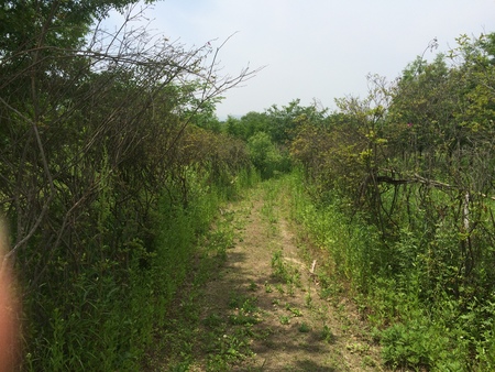 natureの写真素材