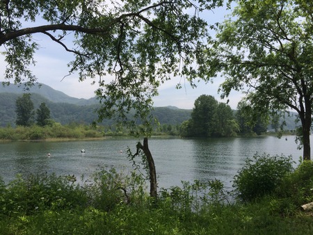 natureの写真素材