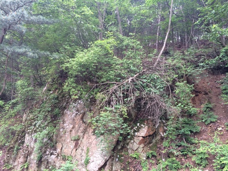 mountainの写真素材