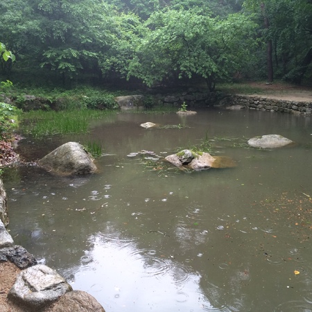 natureの写真素材