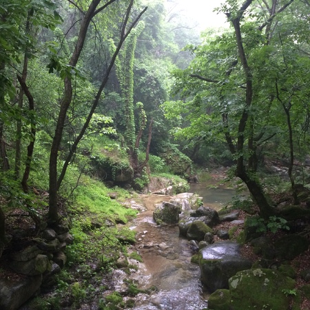 natureの写真素材