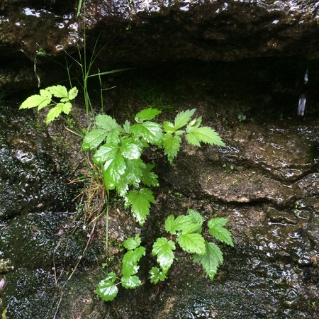 natureの写真素材