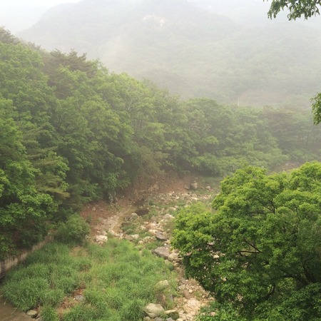 natureの写真素材