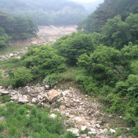 natureの写真素材