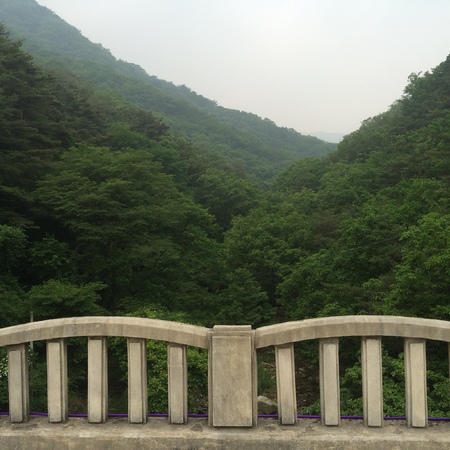 natureの写真素材