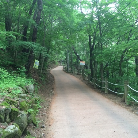 natureの写真素材