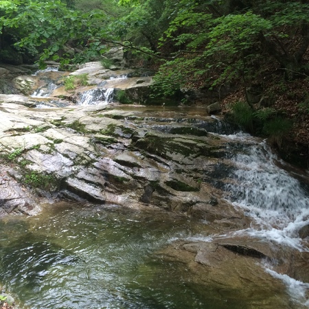 natureの写真素材