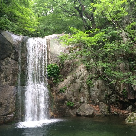 natureの写真素材