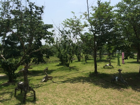natureの写真素材