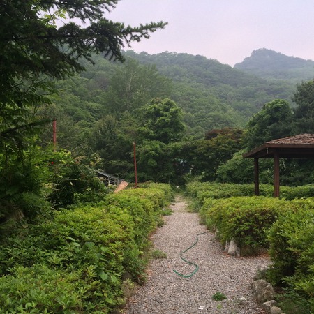 Naturalの写真素材