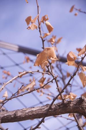 autumn landscapeの写真素材