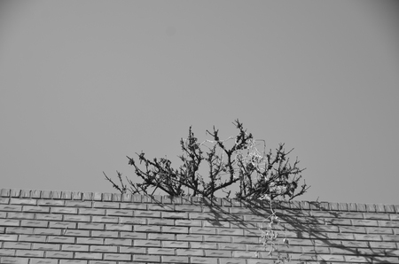 winter landscapeの写真素材