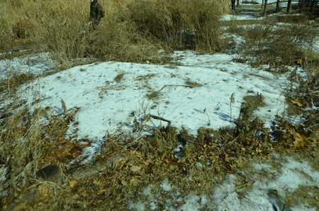 winter landscapeの写真素材