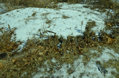 winter landscapeの写真素材