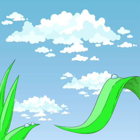 Drops of dew on the grass. Vectorのイラスト素材