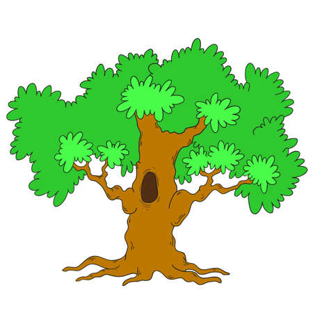 Green tree on a white background. A large tree with a hollow. Green leaves. Vector isolated.のイラスト素材