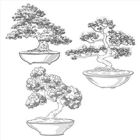 Bonsai collection. Japanese tree miniature. Silhouette of needles. Potted tree. Japanese art. Vector isolated on white background.のイラスト素材