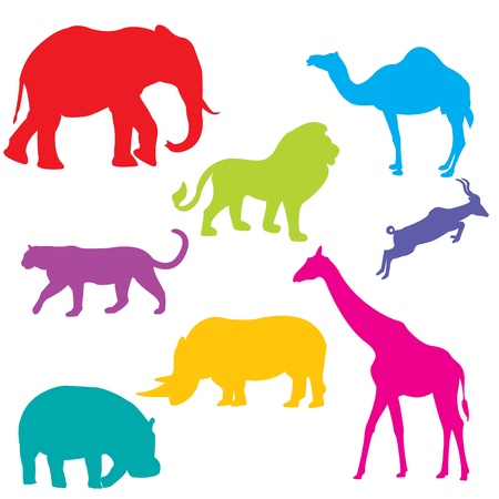 Set of African animals, isolated and grouped objects over white backgroundのイラスト素材