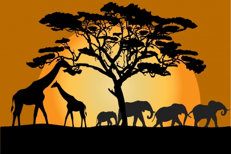 Savannah landscape with animals のイラスト素材