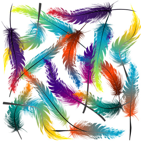Colorful feathers backgroundのイラスト素材