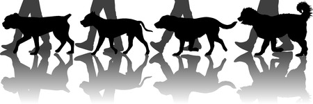 Dogs trainingのイラスト素材