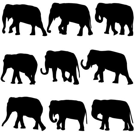Set of black elelephants silhouettesのイラスト素材