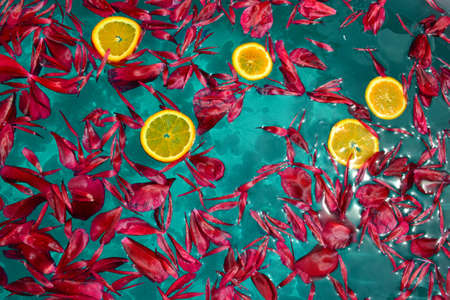 Red peony petals and orange slices on the waterの写真素材