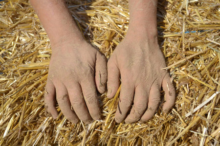 Hands of a young woman who works with clay and straw plaster. Building with natural materialの写真素材