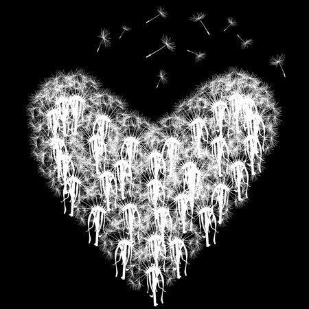 Heart made of dandelions with seeds flying isolated on black backgroundのイラスト素材