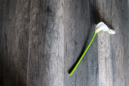 White lily on a wooden backgroundの写真素材