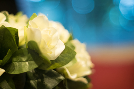 Bunch of white rose bouquet and green leave with blue bokeh backgroundの写真素材