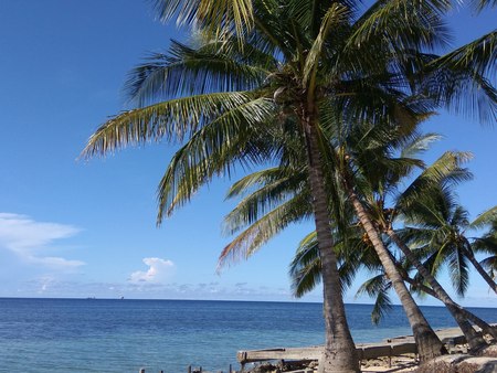 A Little Paradiseの写真素材