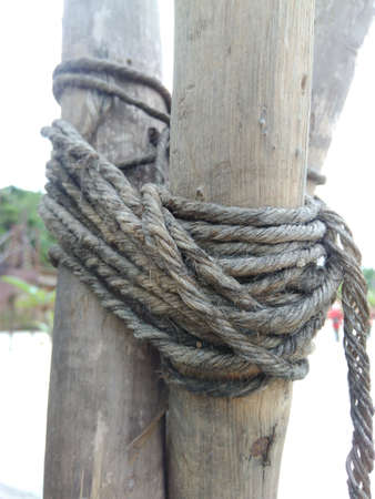 wood tied up to become dryの写真素材