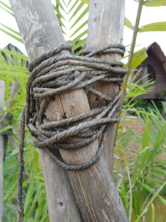 wood tied up to become dryの写真素材